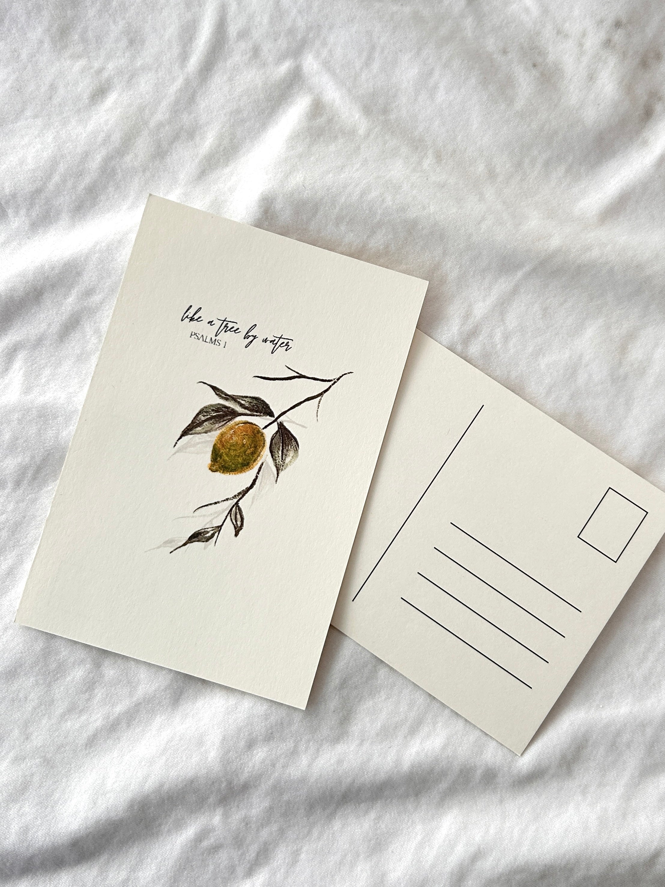 Postkarten Set „like a tree by water“